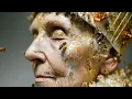 I Leave My Worries at the Hive - A Gentle Surreal AI Music Film (4K)