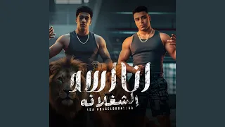 أنا اسد الشغلانه 