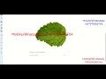 Types Of Medicinal Leaf Recognition Using Image Processing Python Project With Source Code