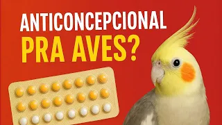 PRA PARAR DE BOTAR OVO! Suprelorin.