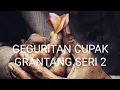 Download Lagu GEGURITAN CUPAK GRANTANG-SERI 2