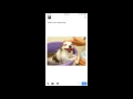 Ionic Twitter UI