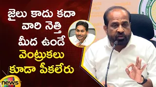 minister satya kumar yadav strong counter to ys jagan comments bjp vs ycp ap political news