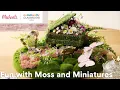 Online Class Fun with Moss and Miniatures Michaels