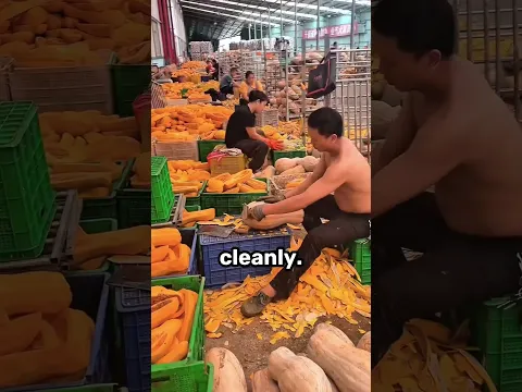 How Do Workers Process So Many Pumpkins by Hand?