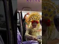 Download Lagu Gimana yg benar duduknya pengantin pakai suntiang masuk mobil?