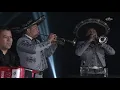 Saúl "El Jaguar" Alarcón - En mi viejo San Juan (Video Oficial)