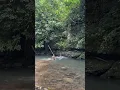 Download Lagu Omg very big snake backsan in the river hole