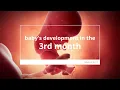 Download Lagu Perkembangan Bayi di Bulan ke-3 Kehamilan | Pertumbuhan pada Tahap Embrionik dan Janin