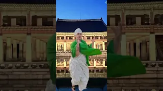 Sheeko Sheekowasmo Haveitoldyoulatelythatiloveyou June11th 