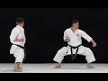 Gekisai Dai Ichi Kata Instructional