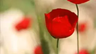 اسم الله من العين الف اسم الله دندنها