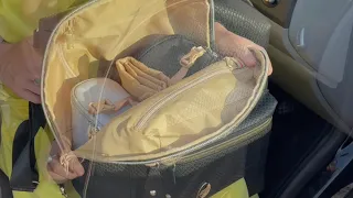 PacaPod Hartland pack croc
