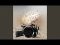 Download Lagu Yaam Iruka