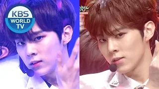 up10tion blue rose stages editors picks music bank 