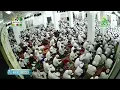 Download Lagu syair sekumpul \