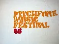 Vampire Weekend - A-Punk - Pitchfork Music Festival 2008