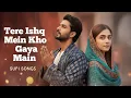 Lagu Tere Ishq Mein Kho Gaya Main | تیرے عشق میں کھوگیا میں | Sufi Qawwali 2025 | Heart Sufi Love Song