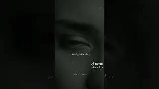  حكيم لا سكه عارفين نمشيها                    دندنها