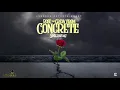 Skillibeng - Rose That Grew From Concrete (Official Audio)