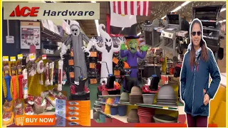 ACE HARDWARE PINAYLIFE IN USA