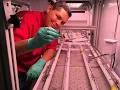 He Grew the First Fruit in Space