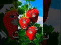 Download Lagu Alif un ba taun sa 🌹🍓🍓 #love #cute #talkingtom #cartoon #alifunba #islam #islamicstatus