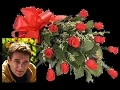Download Lagu Jean - Francois Maurice - Mix