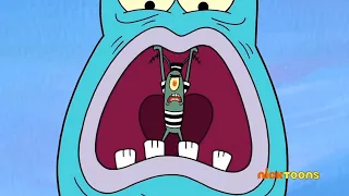 SpongeBob Every Time Plankton Gets Eaten 