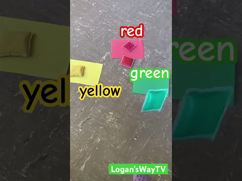 Sorting colors Activities