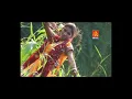 Download Lagu O Sakhi Marwad Jaau | Phuul Phuul Ghugra | Salma B Khan | Official Full Video | Om Music