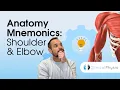 Learn Anatomy Upper Limb Anatomy Memory Aids for Shoulder Elbow Anatomy Made Easy