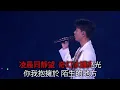 飛花 (李克勤) - 卡拉OK (精準導唱/原Key/高清音源)