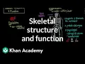 Skeletal structure and function Muscular-skeletal system physiology NCLEX-RN Khan Academy