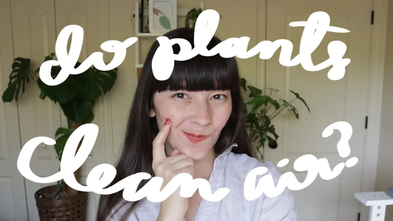 Do Houseplants REALLY Clean our Air? | Evaluating the NASA Clean Air Study & More!