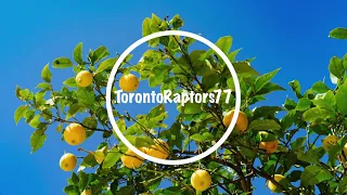 Download Fools Garden - Lemon Tree (Mike Wit \u0026 Garabatto Remix) MP3