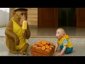 Download Lagu CUTIS harvests strange plant , do completely unbelievable for Baby monkey😯