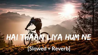 hai thaan liya hum ne slowed and reverb dasvi new version full hindi song