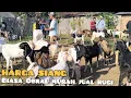 Download Lagu Harga kambing Siang Hari Menjelang Bubaran di Pasar Sukanegara 