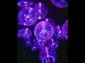 Download Lagu Lady Gaga - Just Dance (Slowed + Reverb)