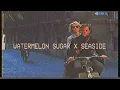 Download Lagu Watermelon Sugar x Seaside - Harry Styles / SEB (Lyrics \u0026 Vietsub)