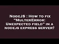 NodeJS How to fix MulterError Unexpected field in a nodejs express server