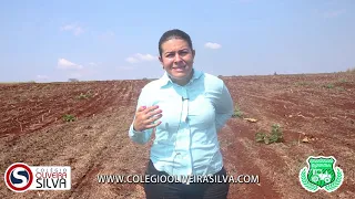 Técnico em Agropecuário
