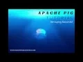 Apache Pig Tutorial - Grouping Records