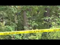 Active Search In Chautauqua County