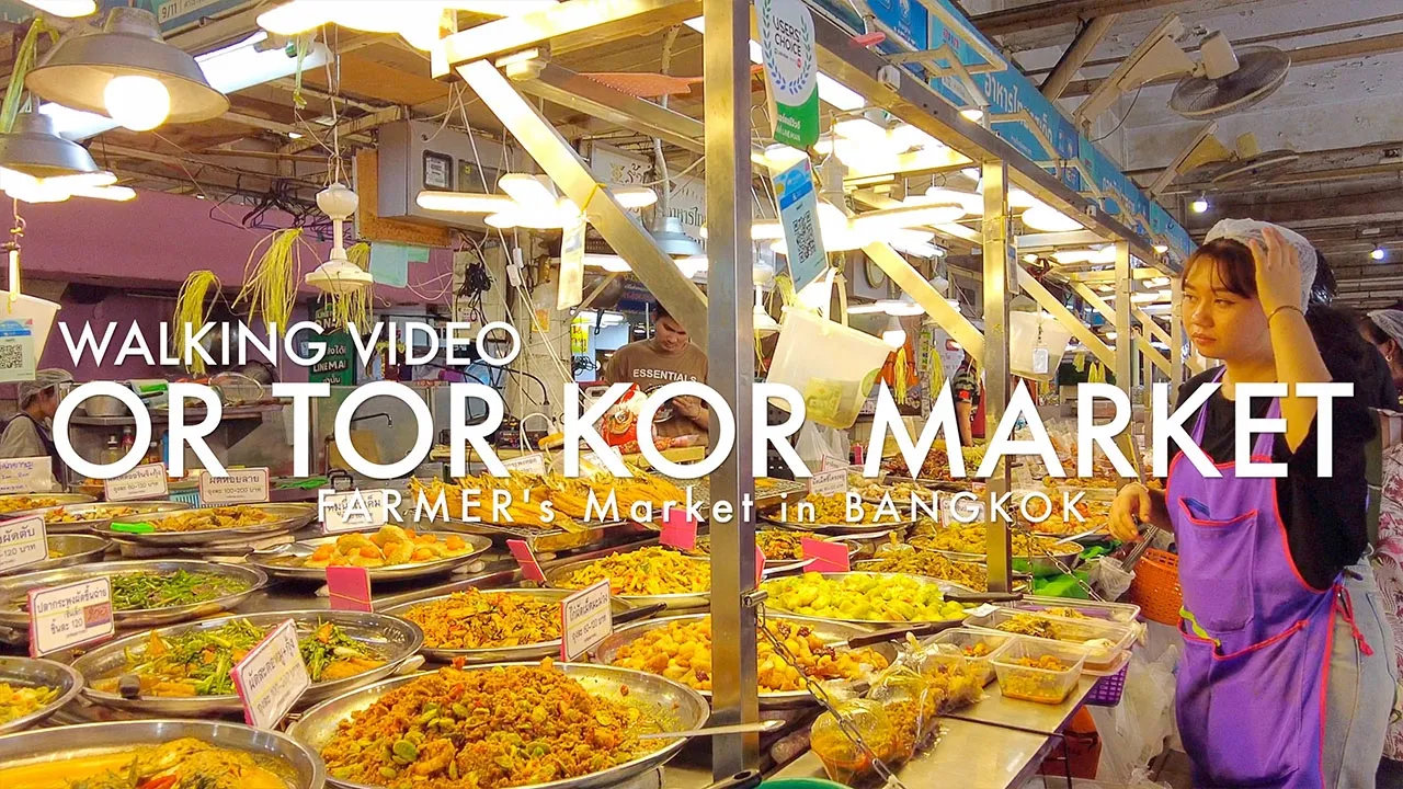 Youtube video -m6UoYAm154 