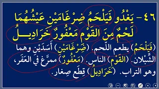 شرح قصيدة (بانت سعاد)  || الدرس السابع. DHAMMAAD