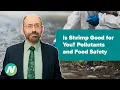 Is Shrimp Good for You Pollutants and Food Safety