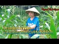 Download Lagu Aktivitas Nana Nutriisari sebelum berangkat bekecimolan