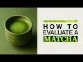 How to Test Matcha - Our 6 Step Matcha Quality Test Matcha Flavor Pairings